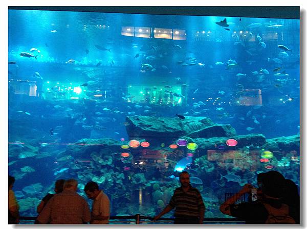 ［中東*杜拜 Dubai 之旅］行程篇 @閒閒小魚出遊中
